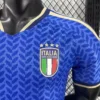 jerseyforge-italy-jersey-v-neck-gold-detail 2026 Italy Style National Team Soccer Jersey - Azure Blue Leaf Edition - Unbranded High-Performance Teamwear